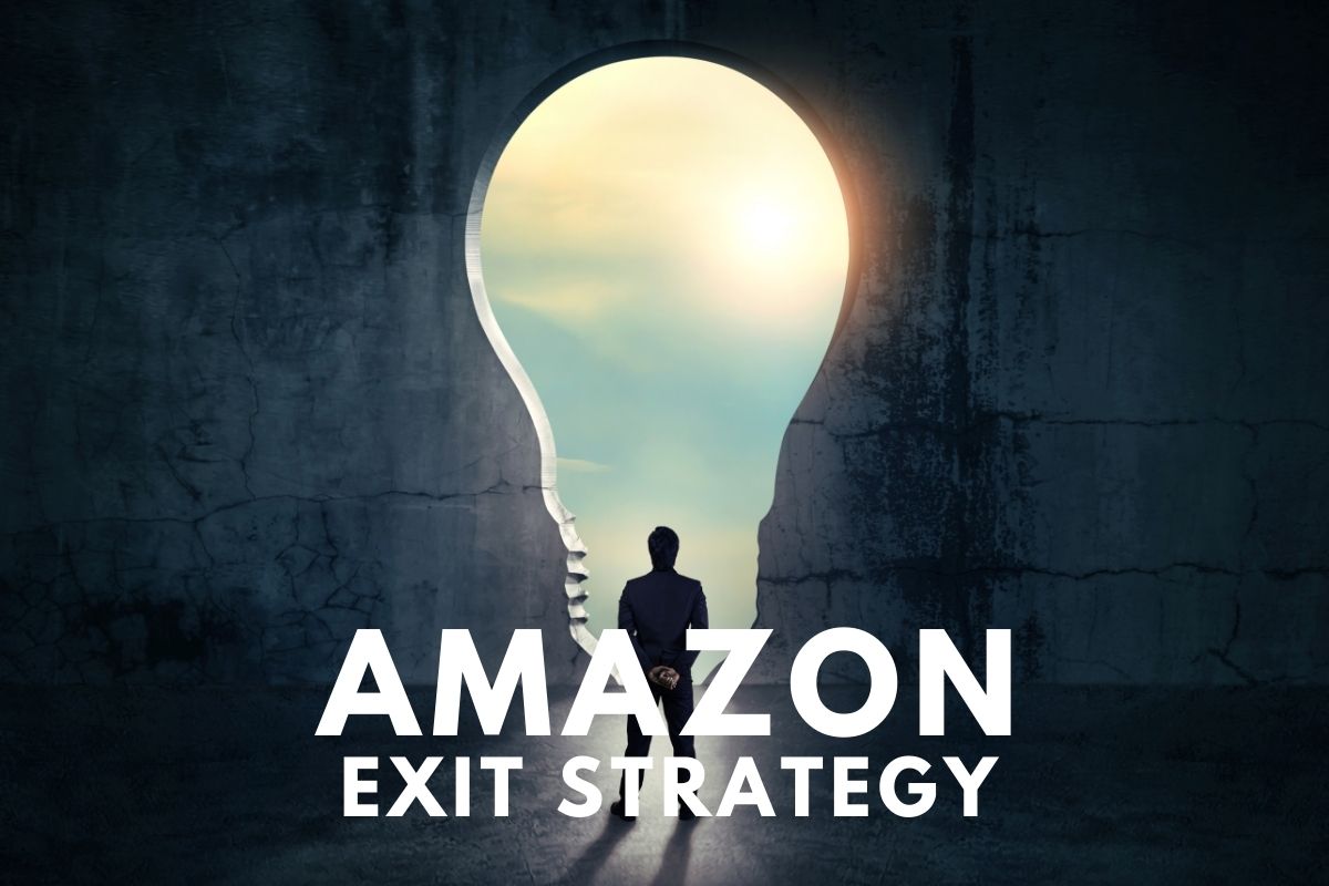 Visual representation of Amazon's exit strategy, detailing essential phases and strategic decisions involved.